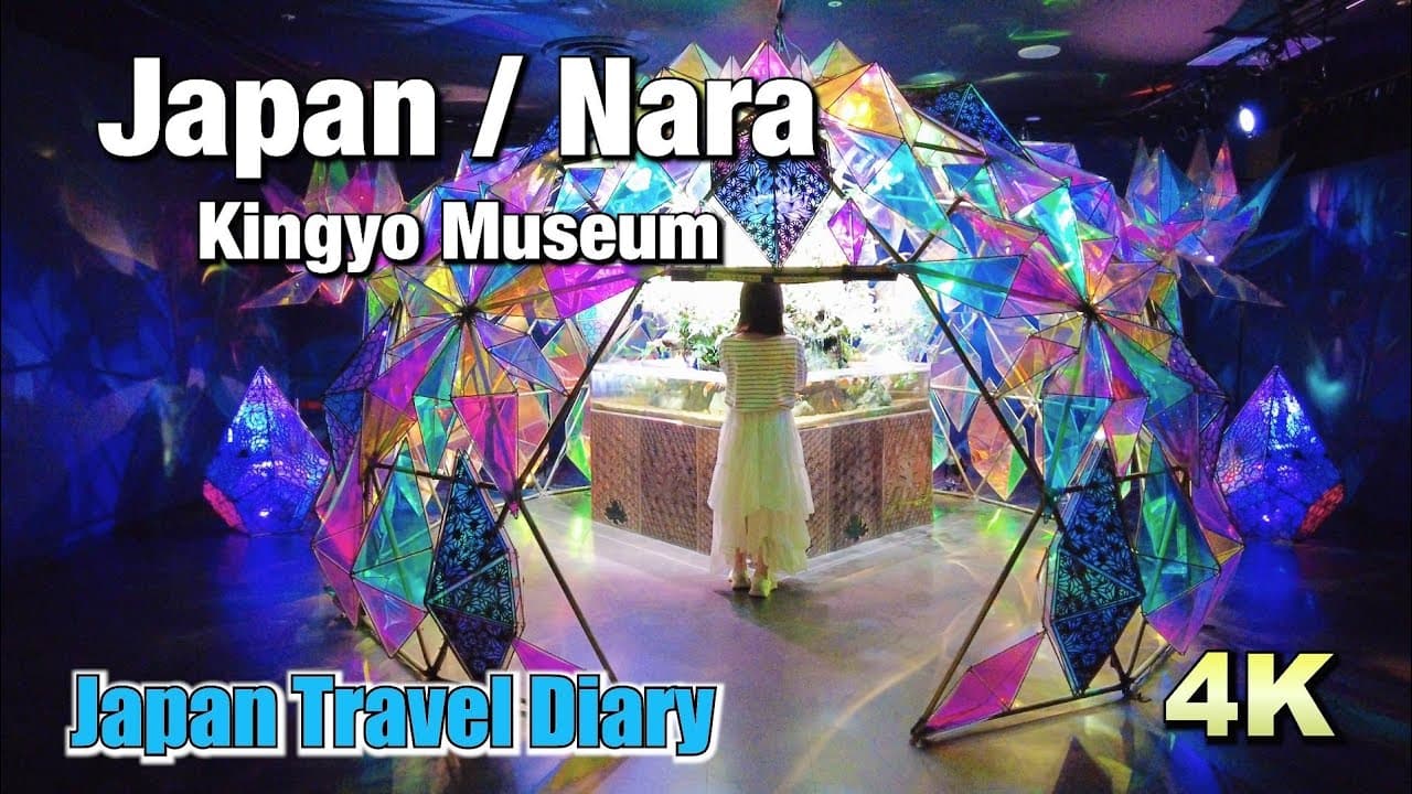 [4K] Travel Diary to "Kingyo Museum" in Nara | Japan📘