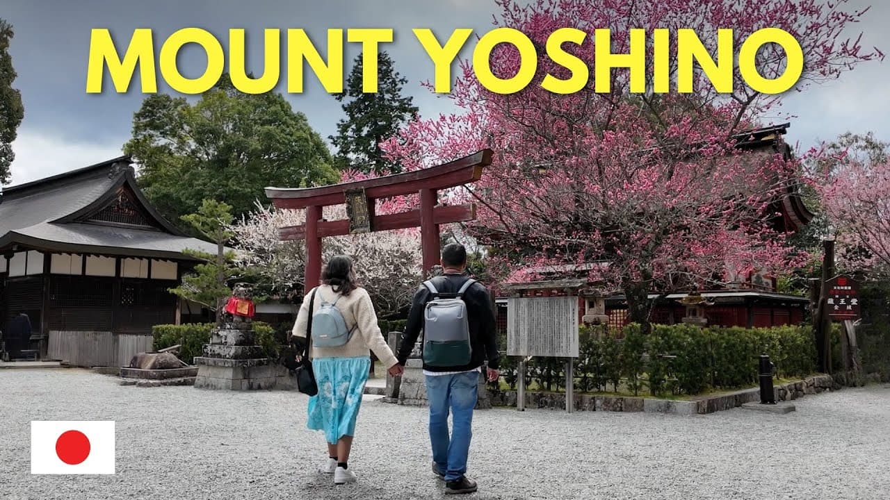 🇯🇵 Mount Yoshino Before Peak Sakura | What We Actually Found