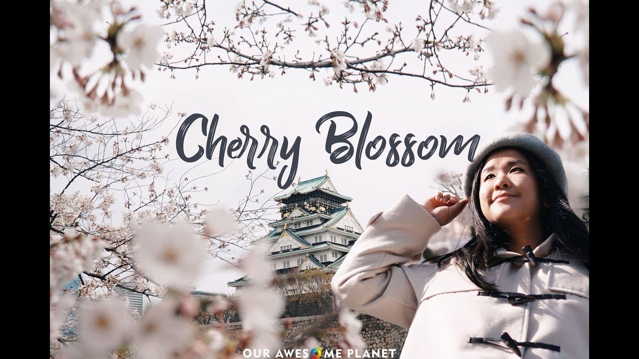 Cherry Blossoms in Japan: Sakura Season in Kansai (Vlog)