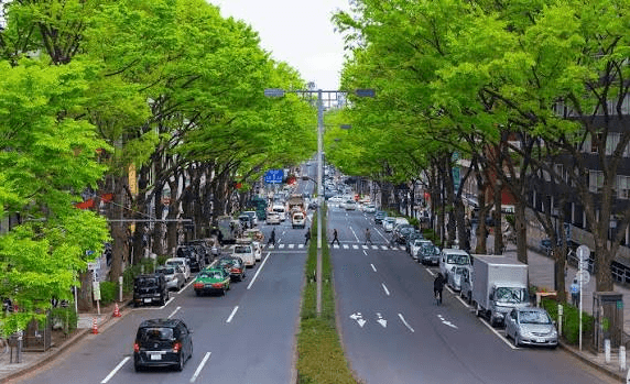 Classic 14-Day In-Depth Japan Itinerary 11
