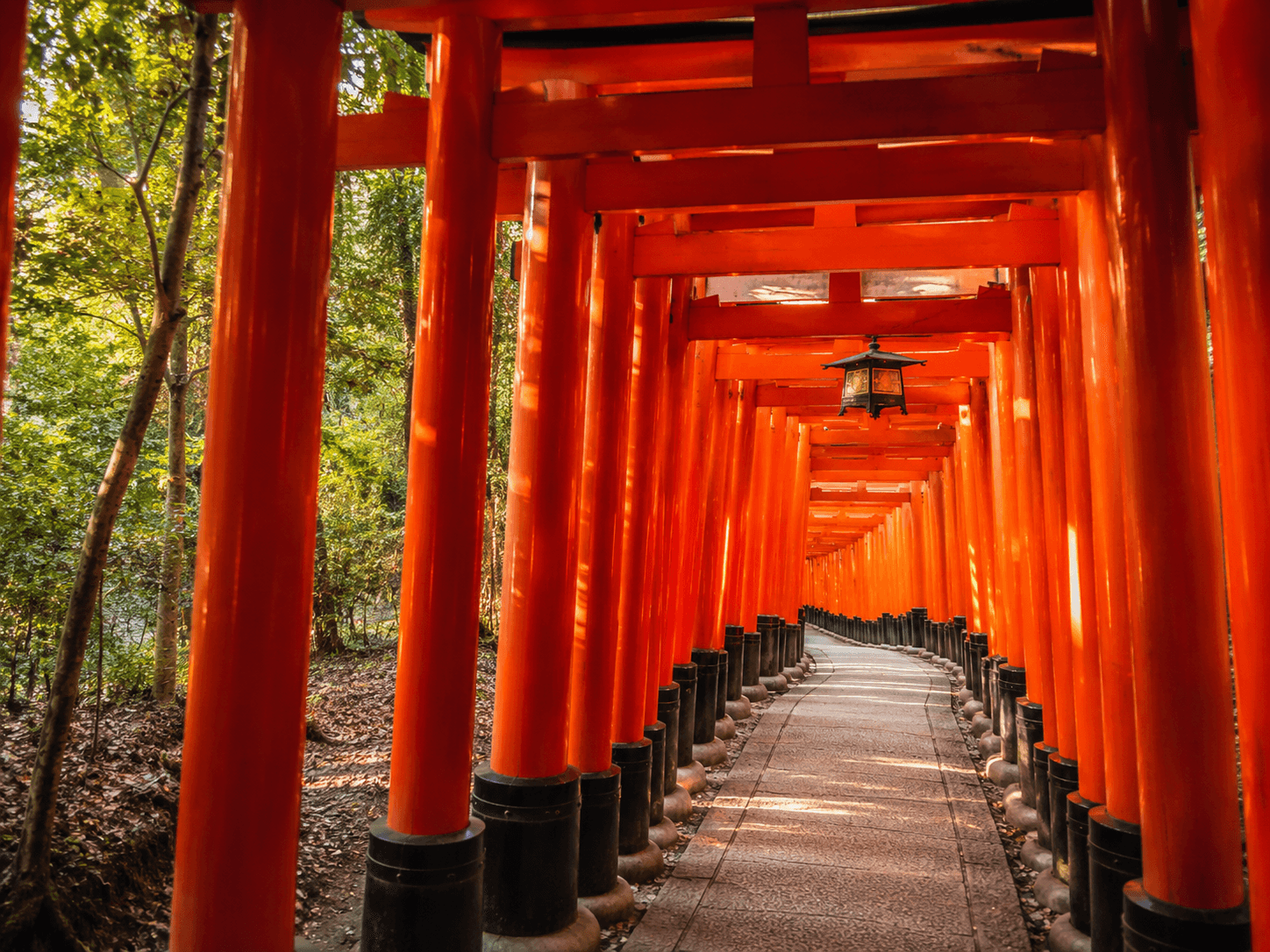 12-Day China-Japan Four Capitals Cultural Pilgrimage Tour 11