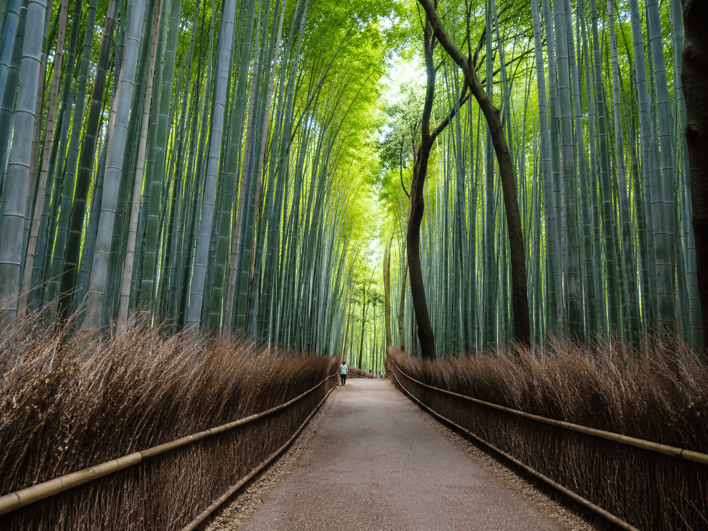 12-Day 11-Night Japan Curated Cultural In-Depth Tour 12