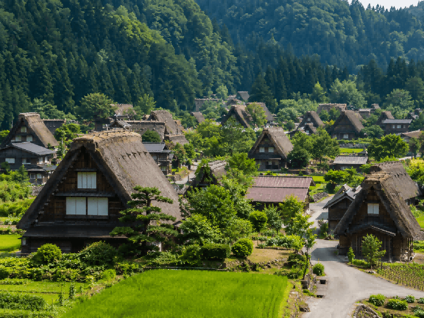 In-Depth 11-Day Japan Itinerary 15