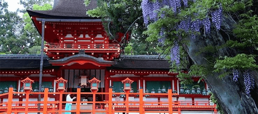 15-Day Classic Japan & South Korea In-Depth Tour 3