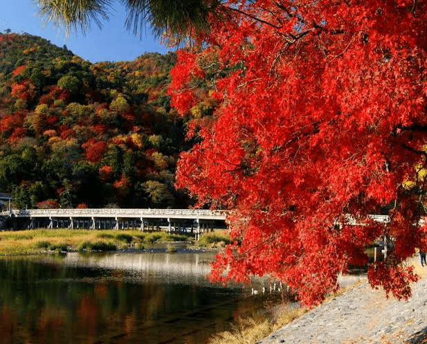 Classic 14-Day In-Depth Japan Itinerary 3