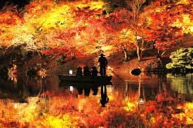 7-Day Shikoku & Kansai Architecture and Art Leisure Tour 3