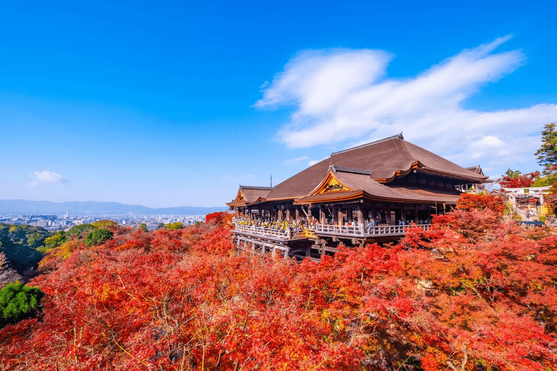 In-Depth 11-Day Japan Itinerary 22