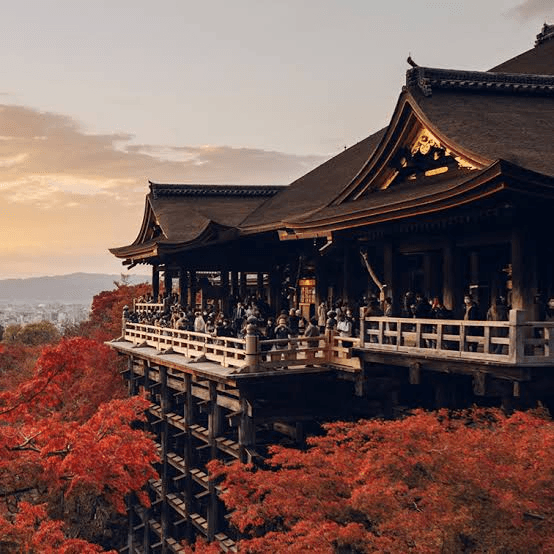 Classic 14-Day In-Depth Japan Itinerary 25