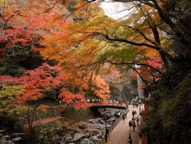 In-Depth 11-Day Japan Itinerary 30