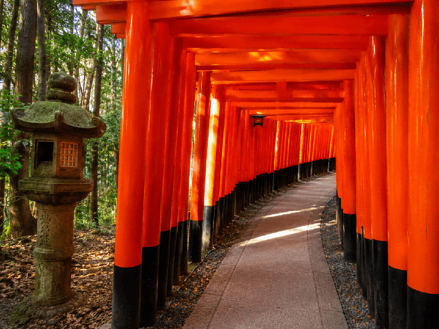Tokyo, Mt. Fuji, Kyoto & Osaka 8-Day Comfort Tour 4