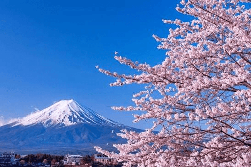 15-Day Classic Japan & South Korea In-Depth Tour 4