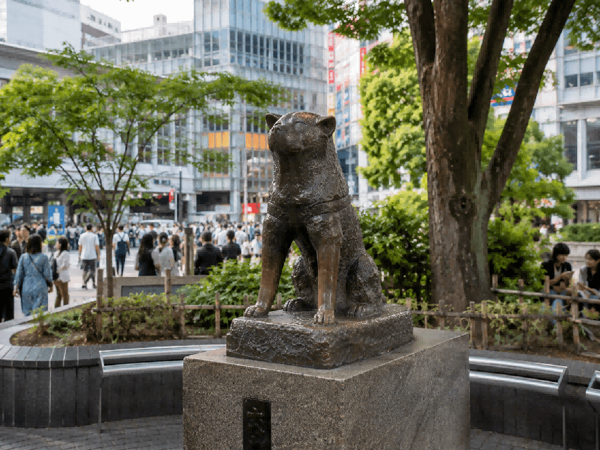 12-Day 11-Night Japan Curated Cultural In-Depth Tour 31