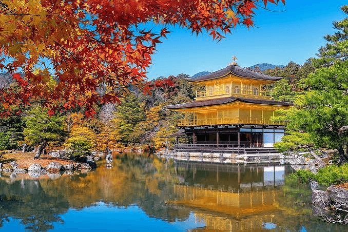 In-Depth 11-Day Japan Itinerary 32