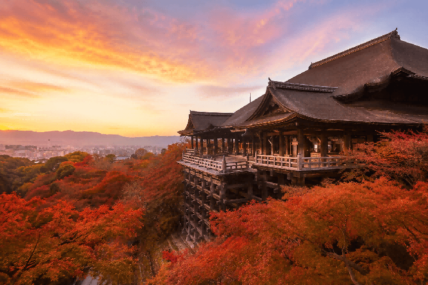 Tokyo, Mt. Fuji, Kyoto & Osaka 8-Day Comfort Tour 5