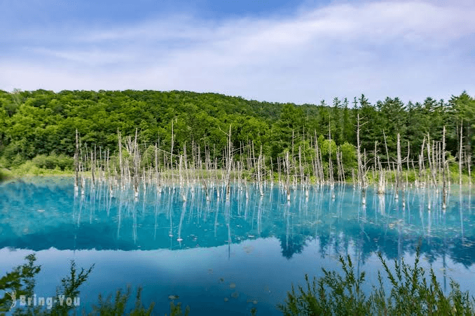 Hokkaido Premium 7-Day 6-Night Curated Itinerary 5