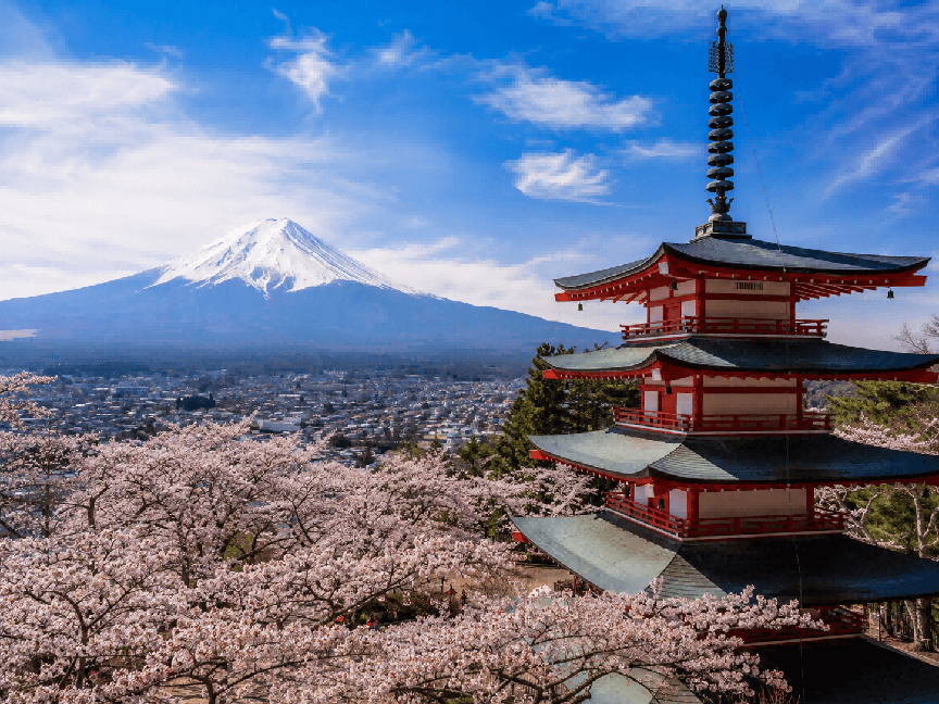 In-Depth 11-Day Japan Itinerary 5