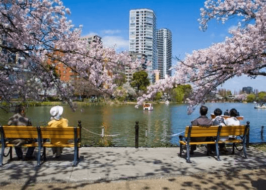 Classic 14-Day In-Depth Japan Itinerary 5