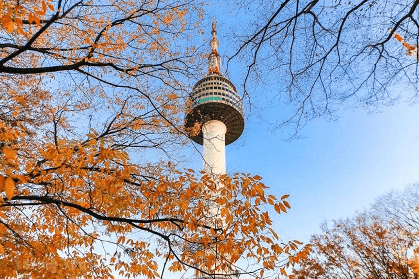 15-Day Classic Japan & South Korea In-Depth Tour 6