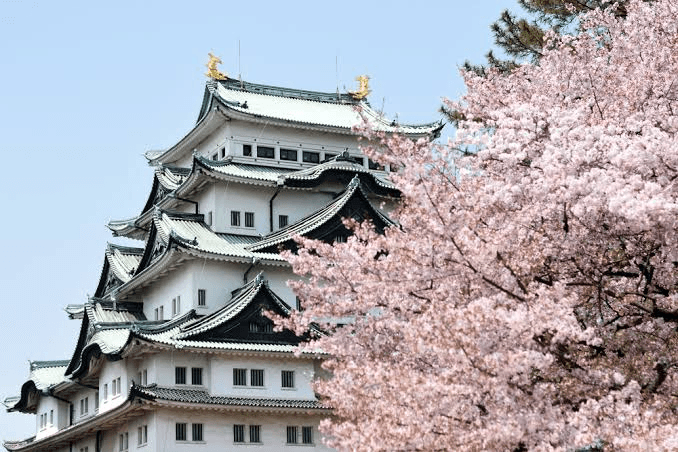 12-Day China-Japan Four Capitals Cultural Pilgrimage Tour 6