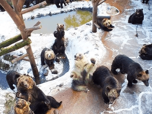 Hokkaido 5-Day Highlights Tour: Sapporo, Noboribetsu, Lake Toya & Otaru 7