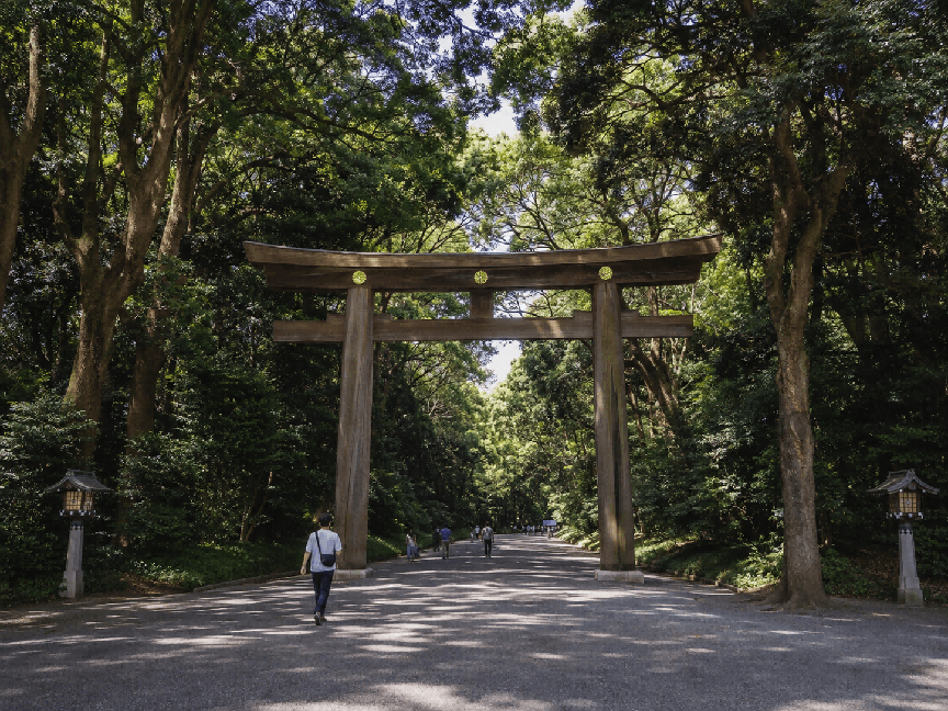 In-Depth 11-Day Japan Itinerary 7