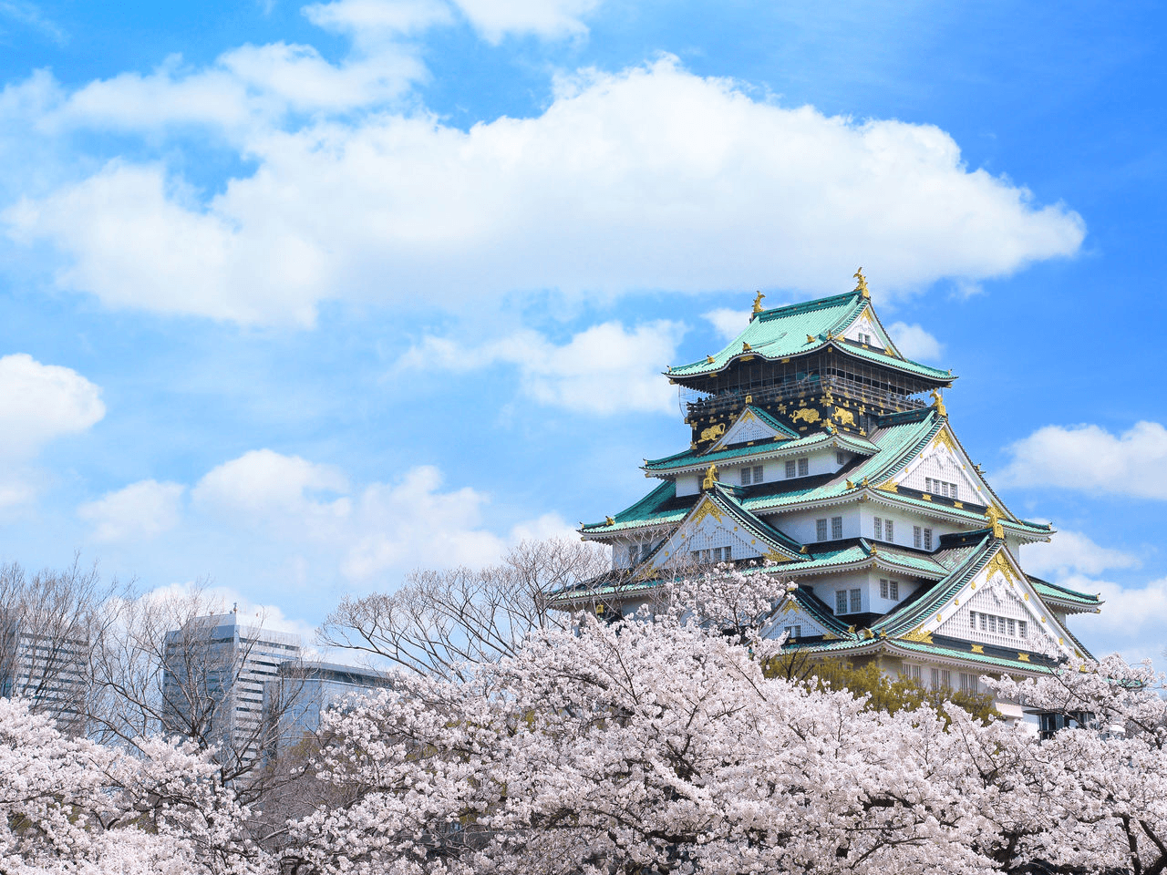 6-Day 5-Night Classic Japan Culture Tour 7