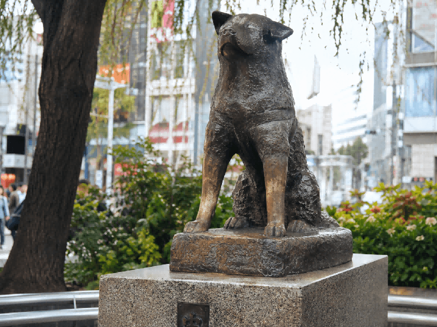 In-Depth 11-Day Japan Itinerary 9